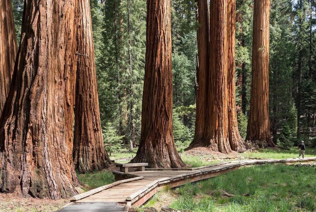 Sequoia Cabin By The River Three Rivers Esterno foto