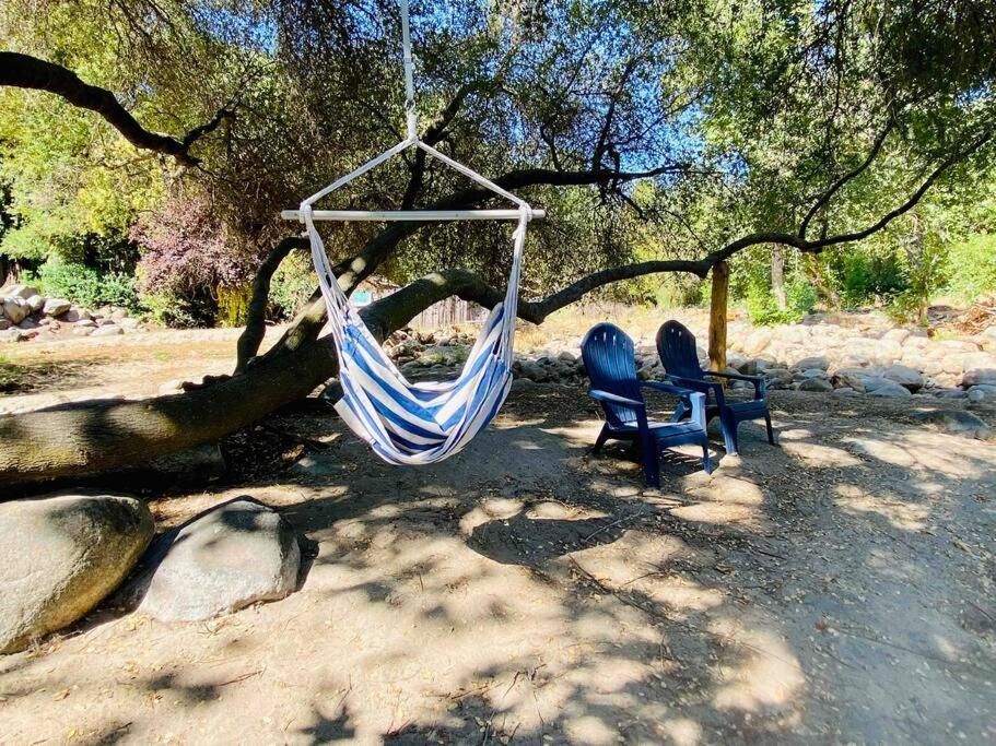 Sequoia Cabin By The River Three Rivers Esterno foto