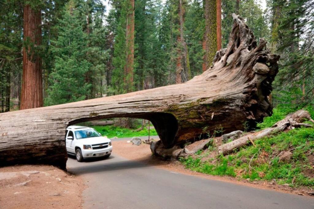 Sequoia Cabin By The River Three Rivers Esterno foto
