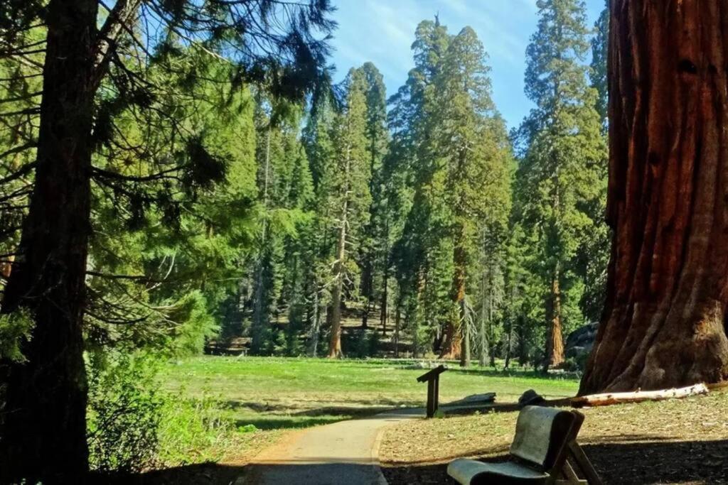 Sequoia Cabin By The River Three Rivers Esterno foto